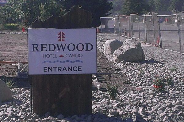 redwood1